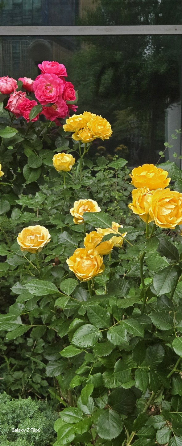 Post image 2