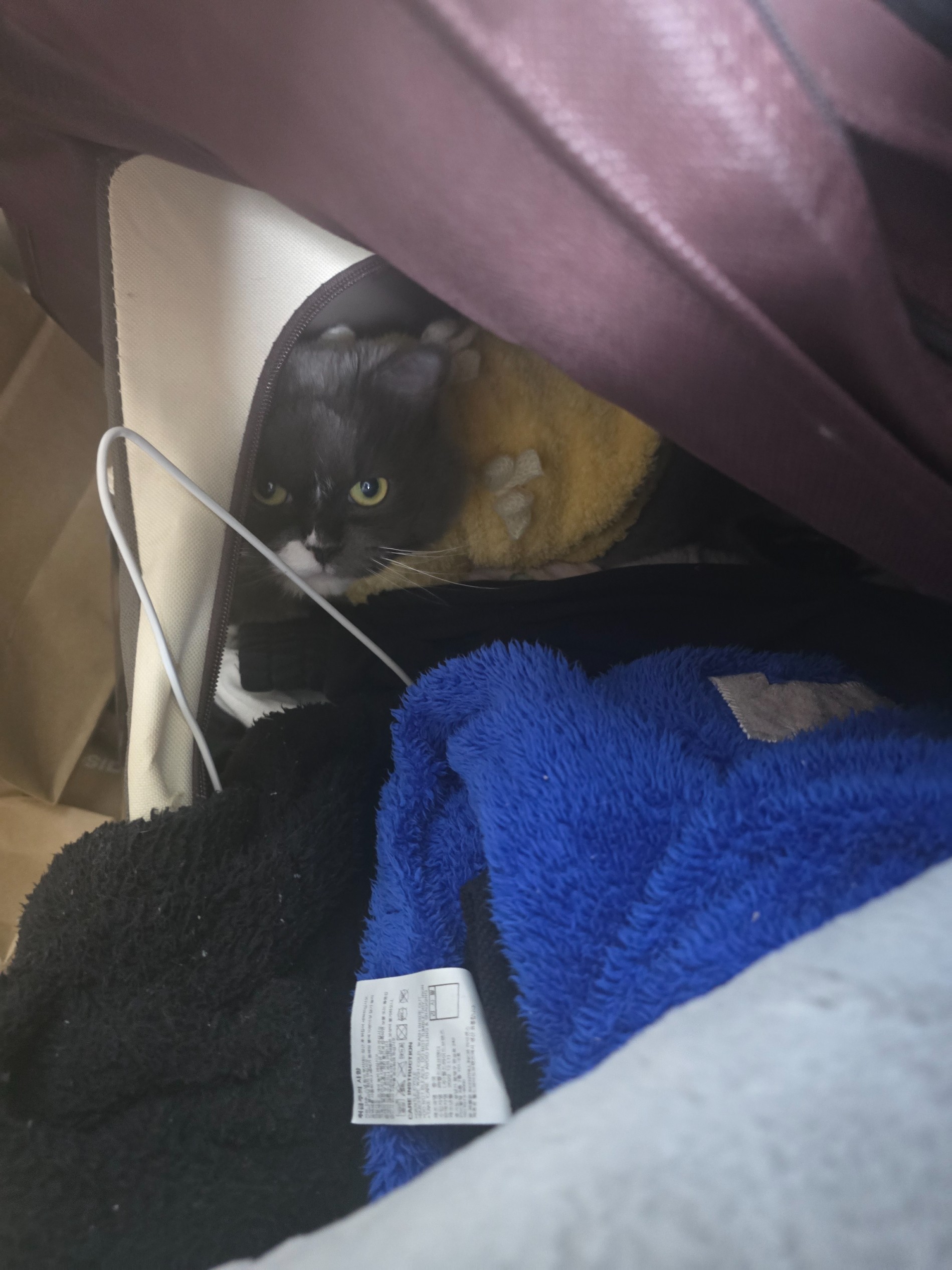 Post image 6
