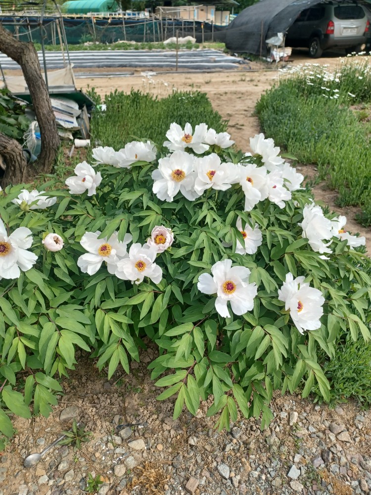 Post image 7