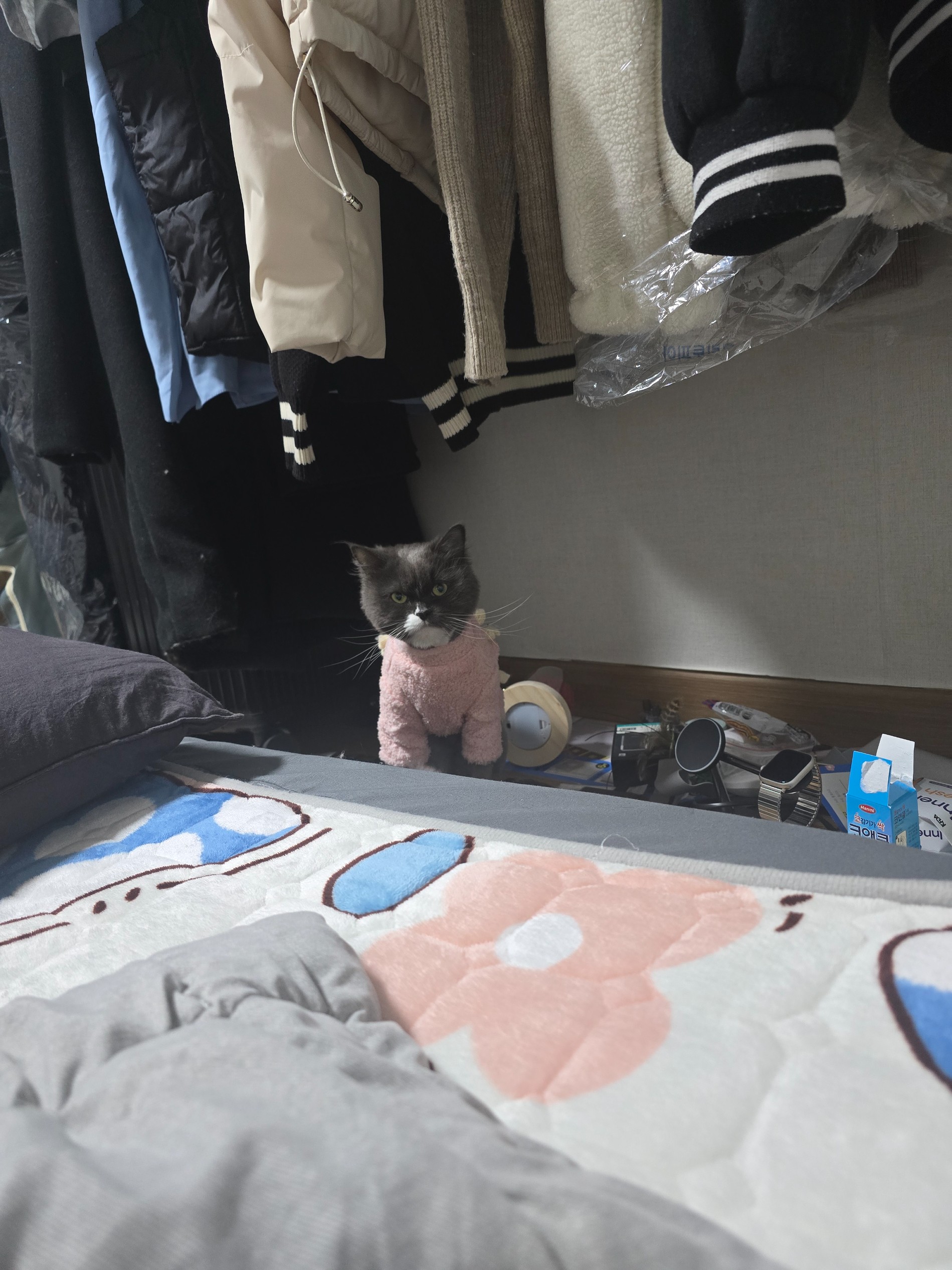 Post image 16