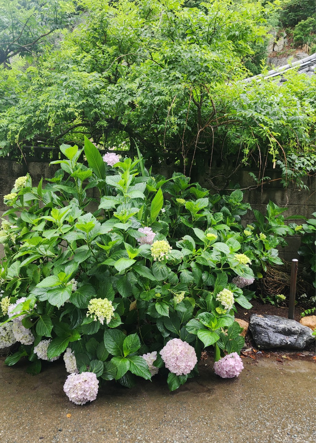 Post image 1