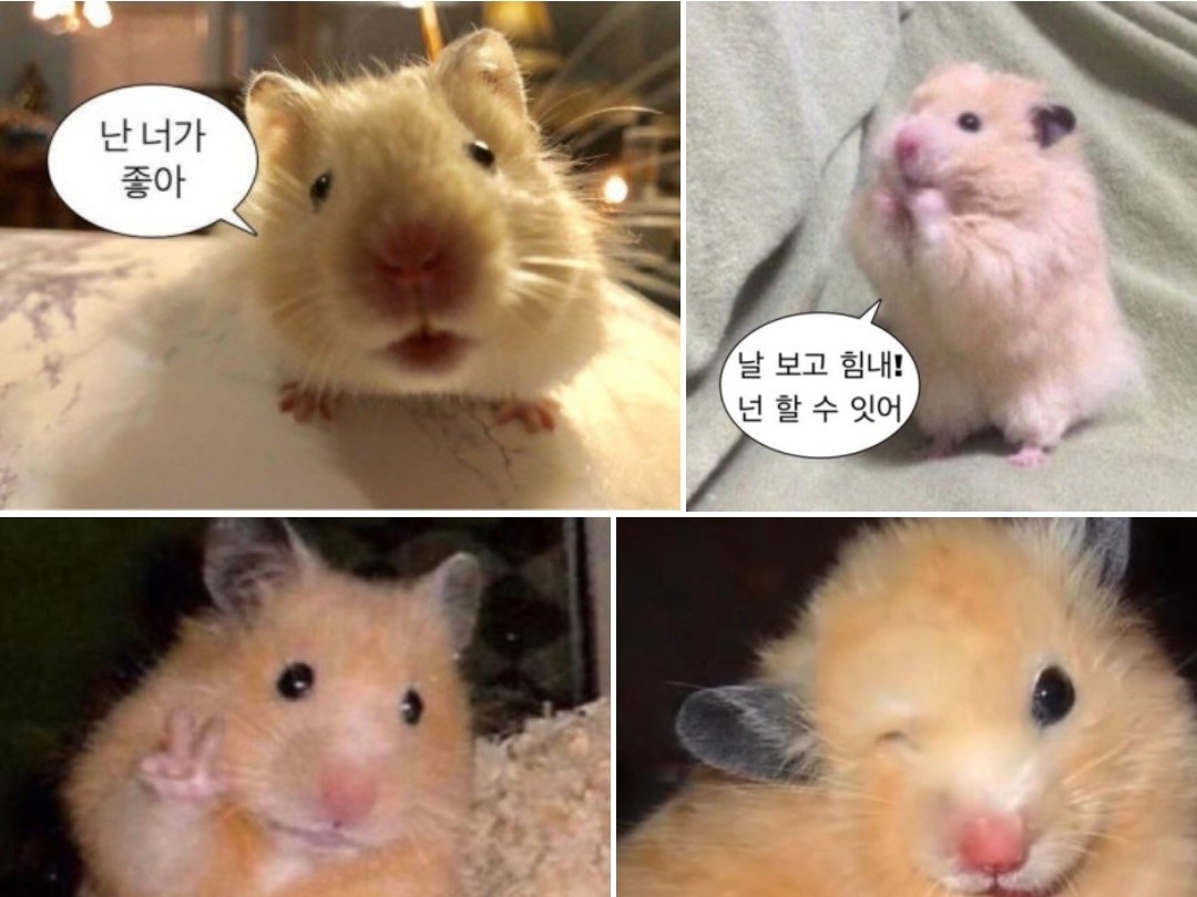 Post image 2