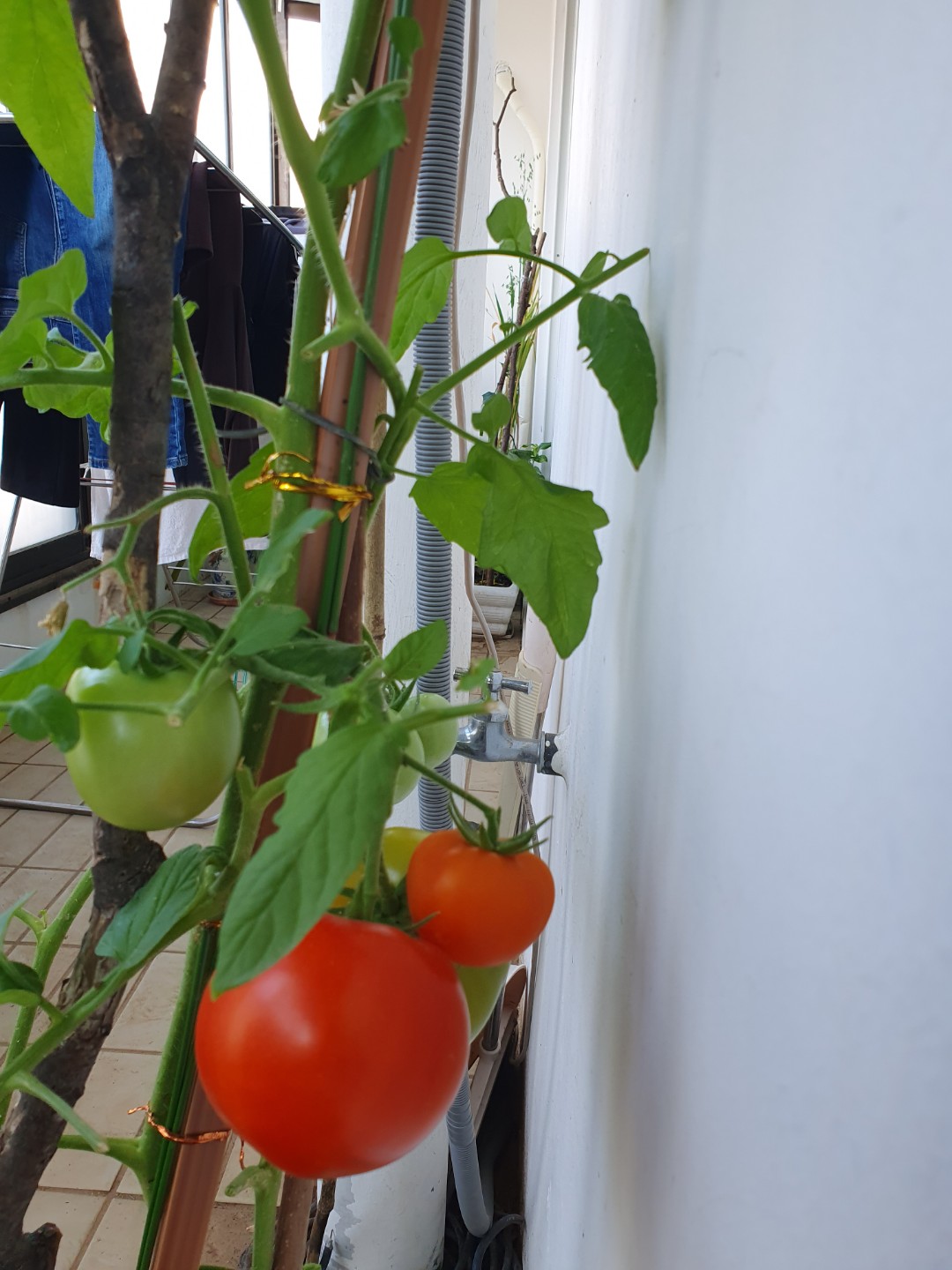 Post image 2