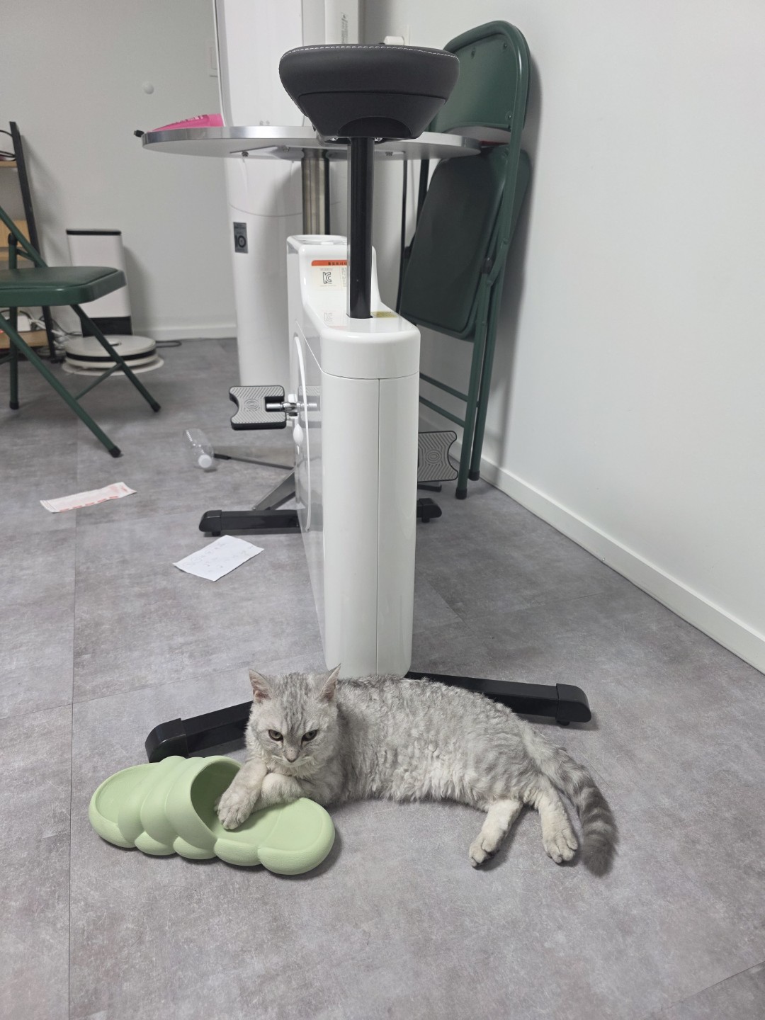 Post image 6