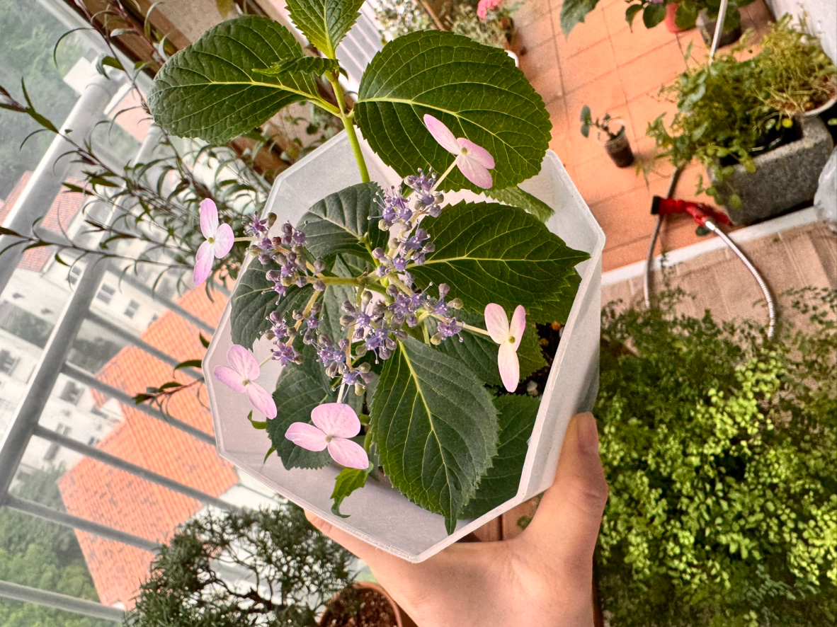 Post image 3