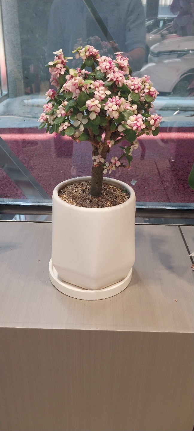 Post image 5