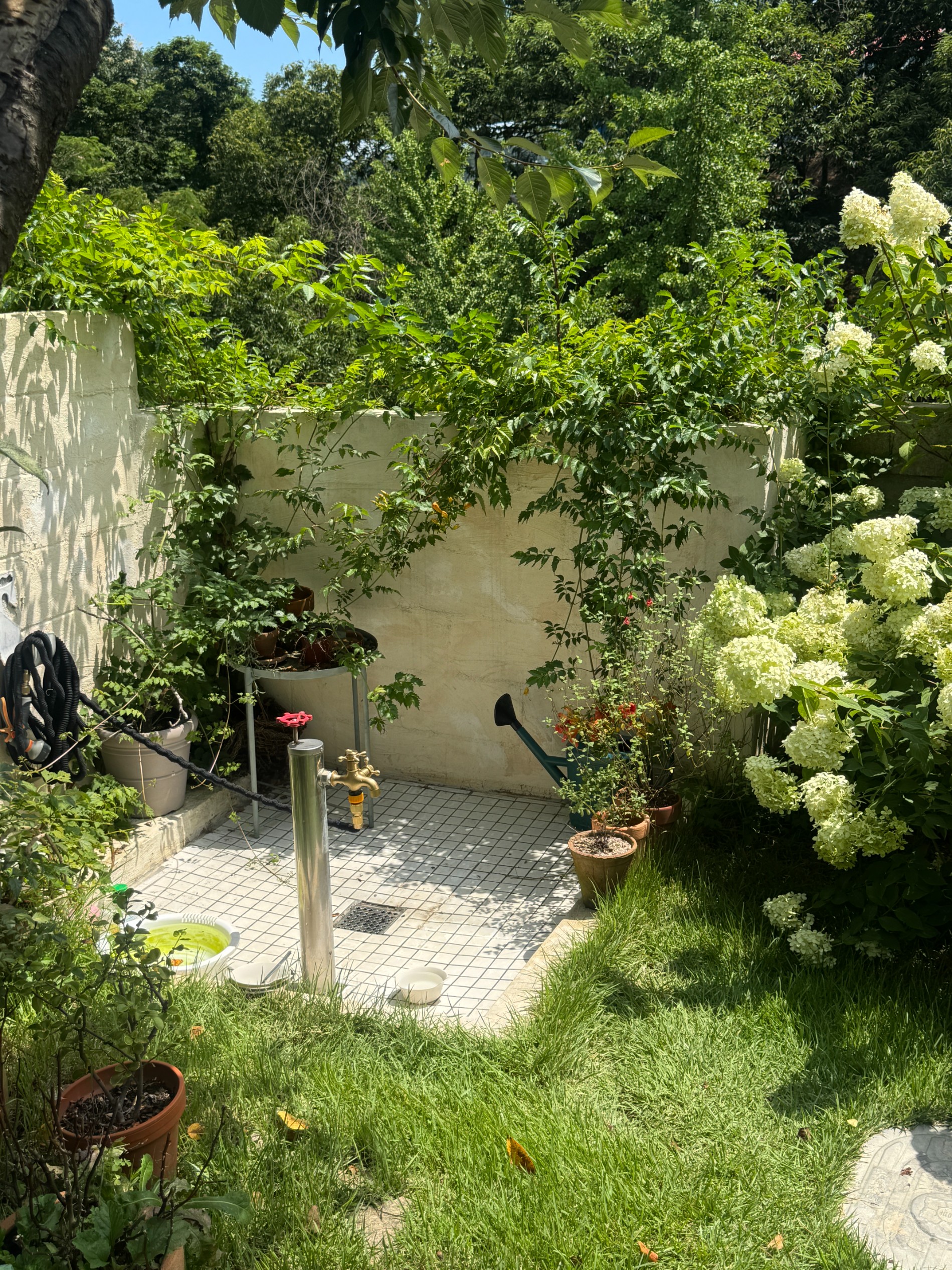 Post image 73
