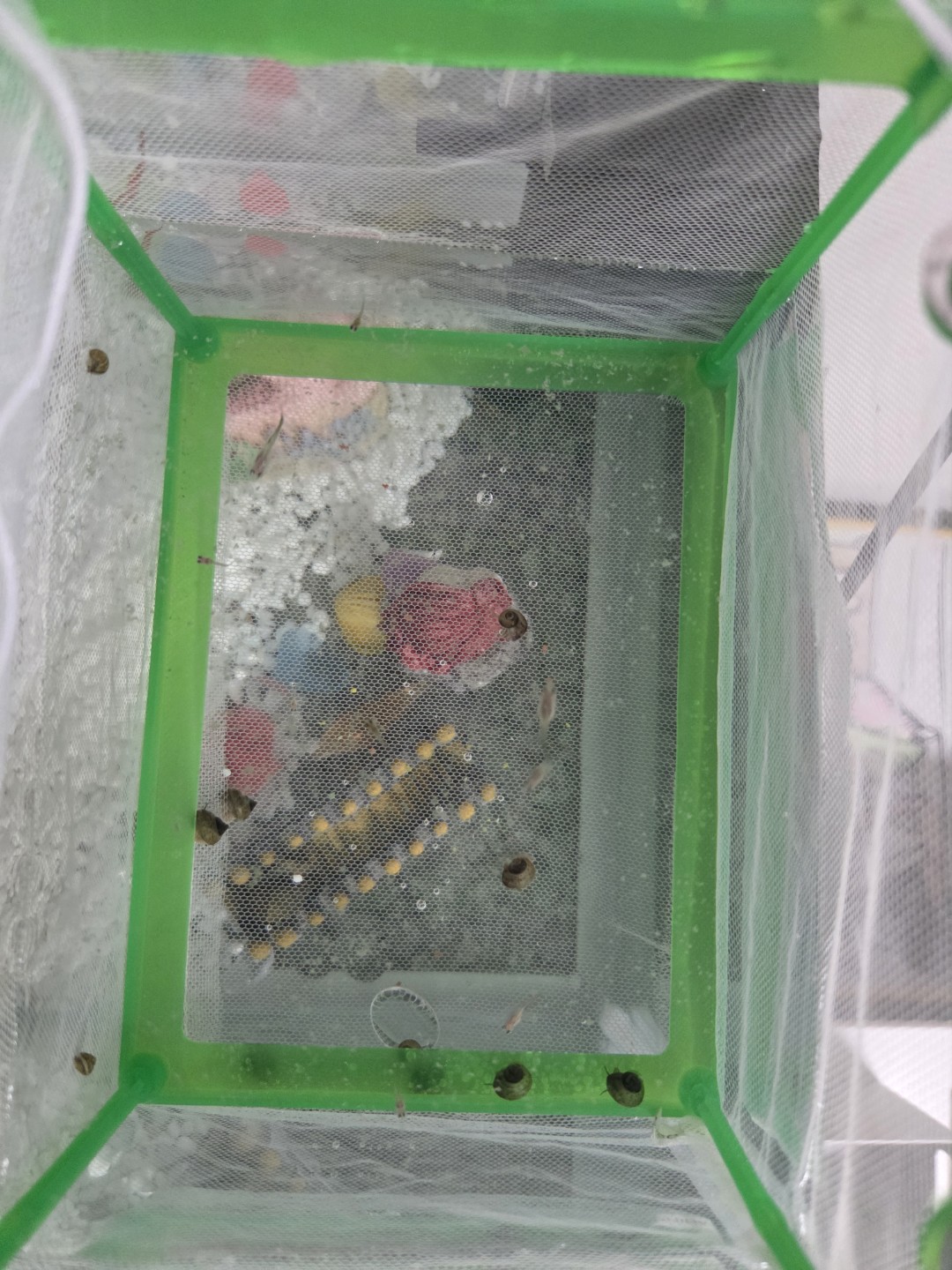 Post image 2