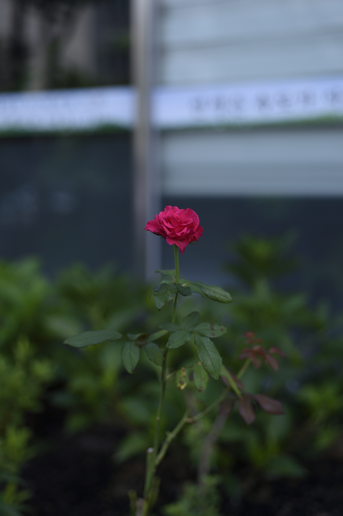 Post image 7