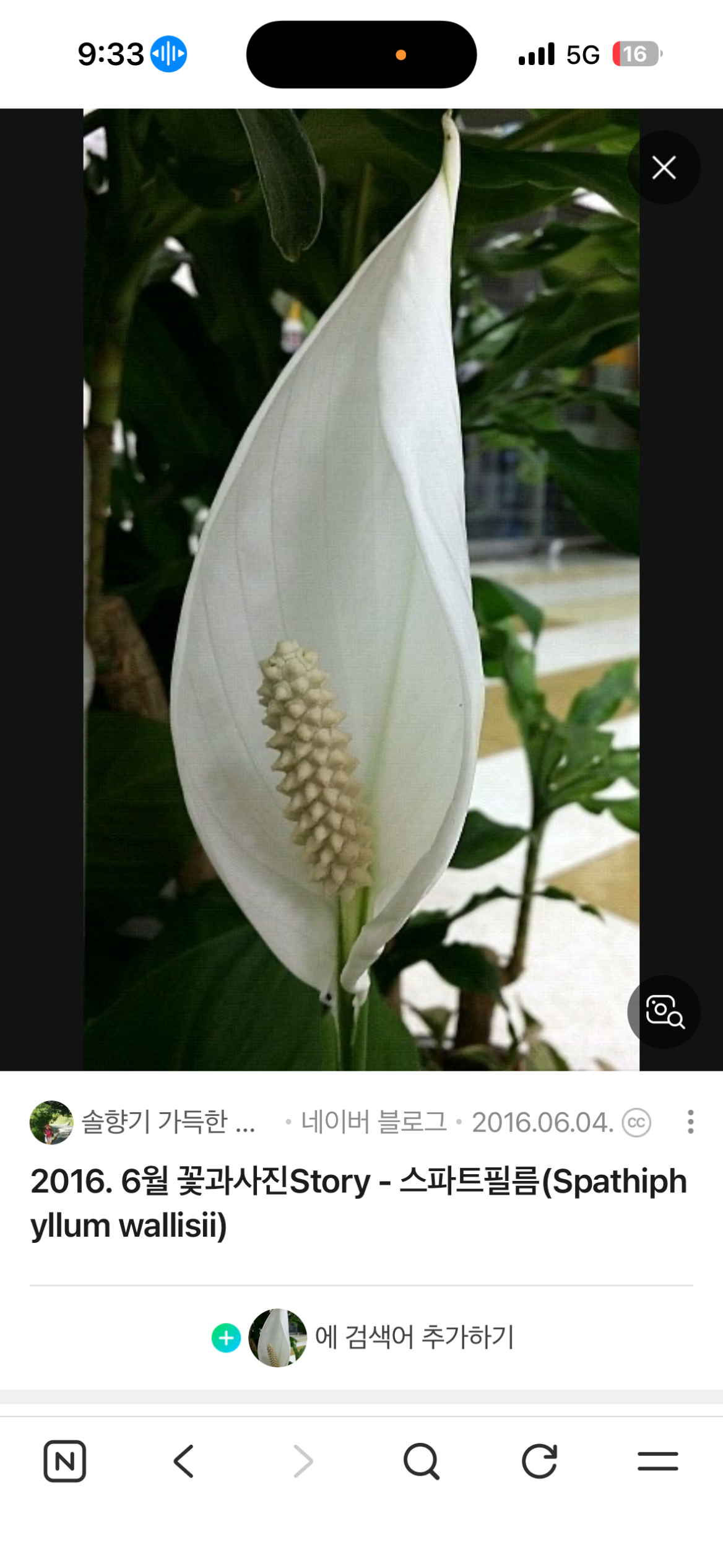 Post image 2