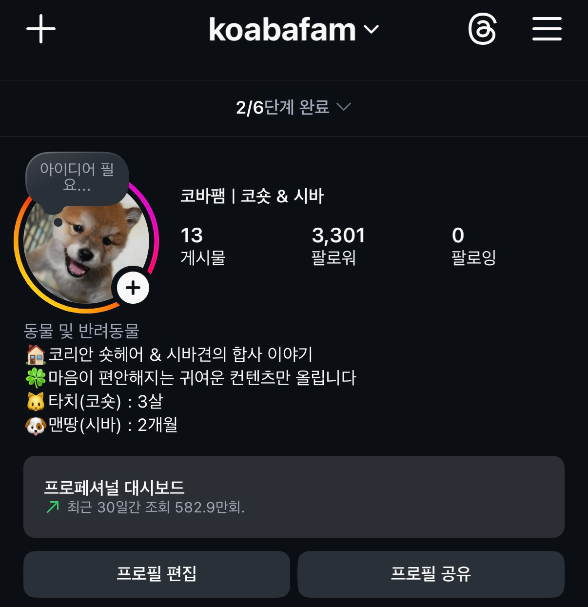 제 아기 시바견, 맨땅이를 소개합니다