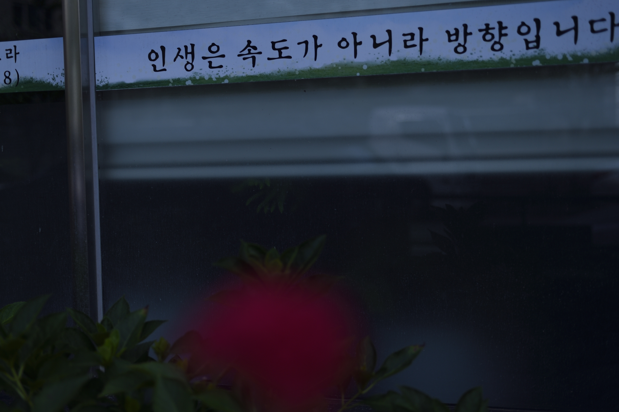 Post image 6