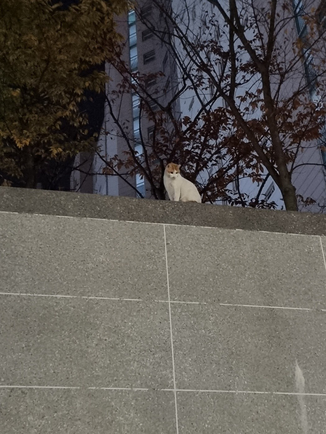 Post image 6