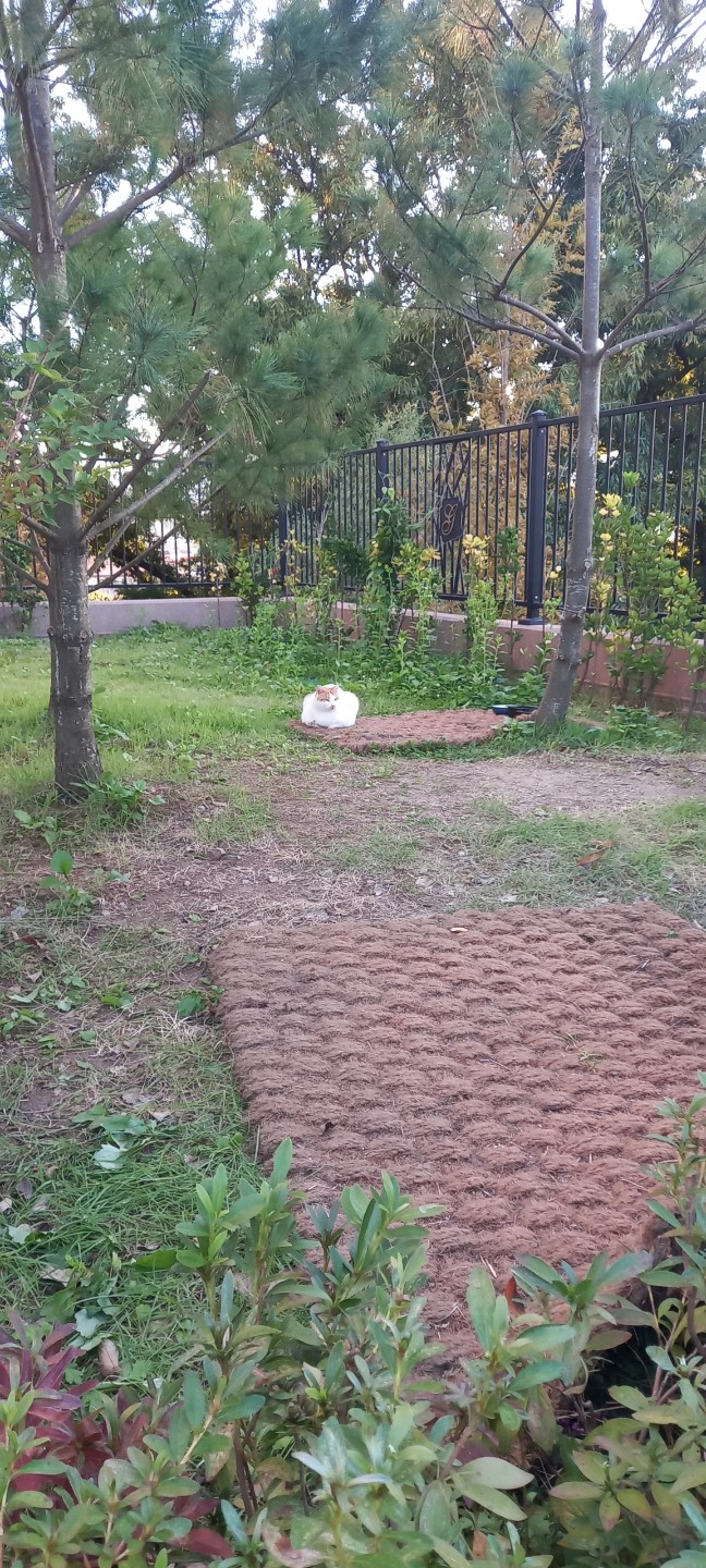 Post image 7
