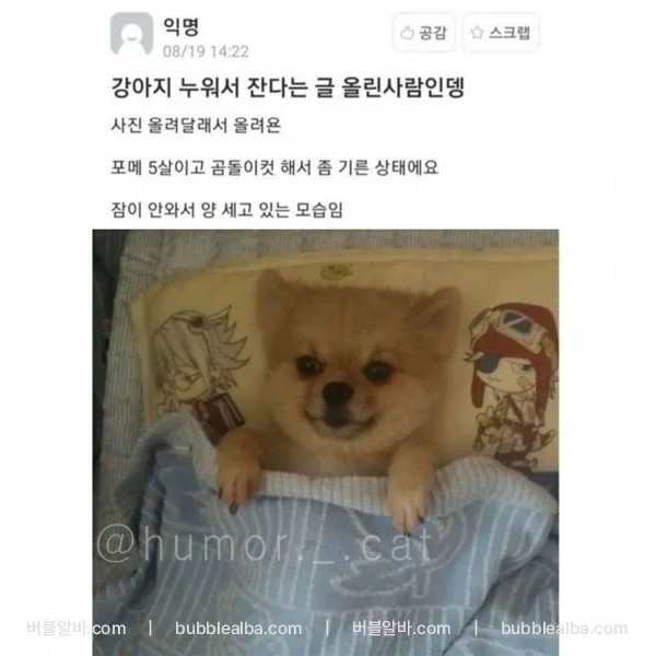 Post image 2