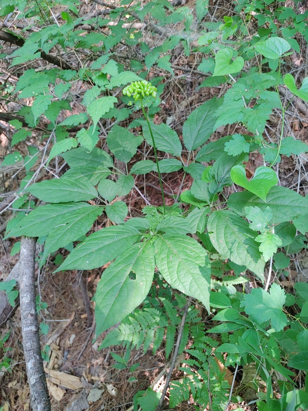 Post image 8