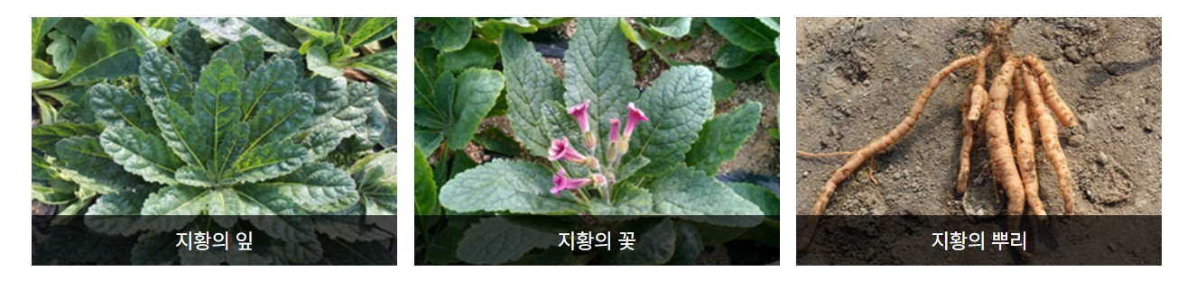 Post image 4
