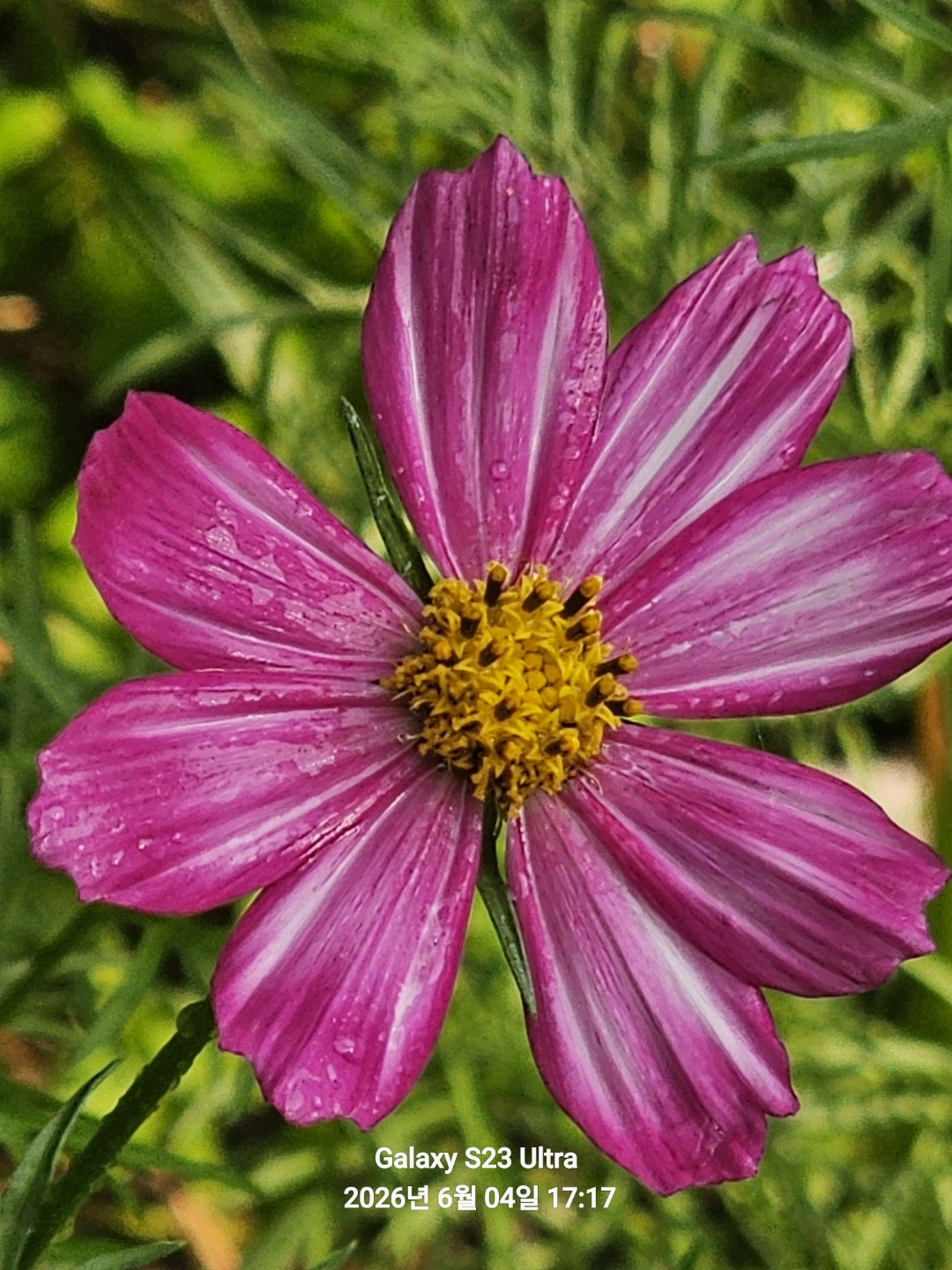 Post image 5