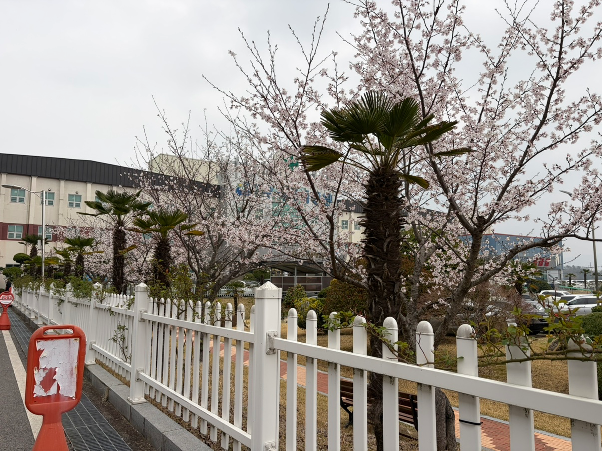 Post image 6
