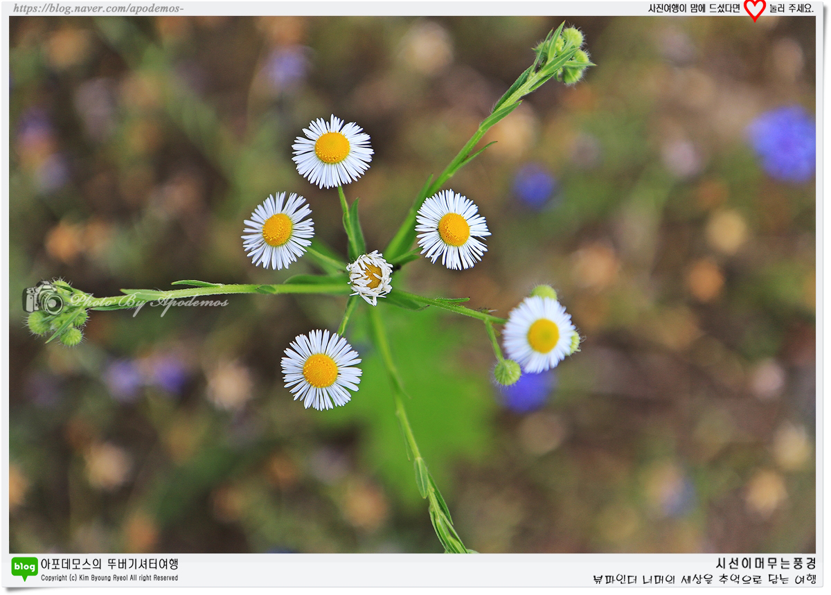 Post image 25