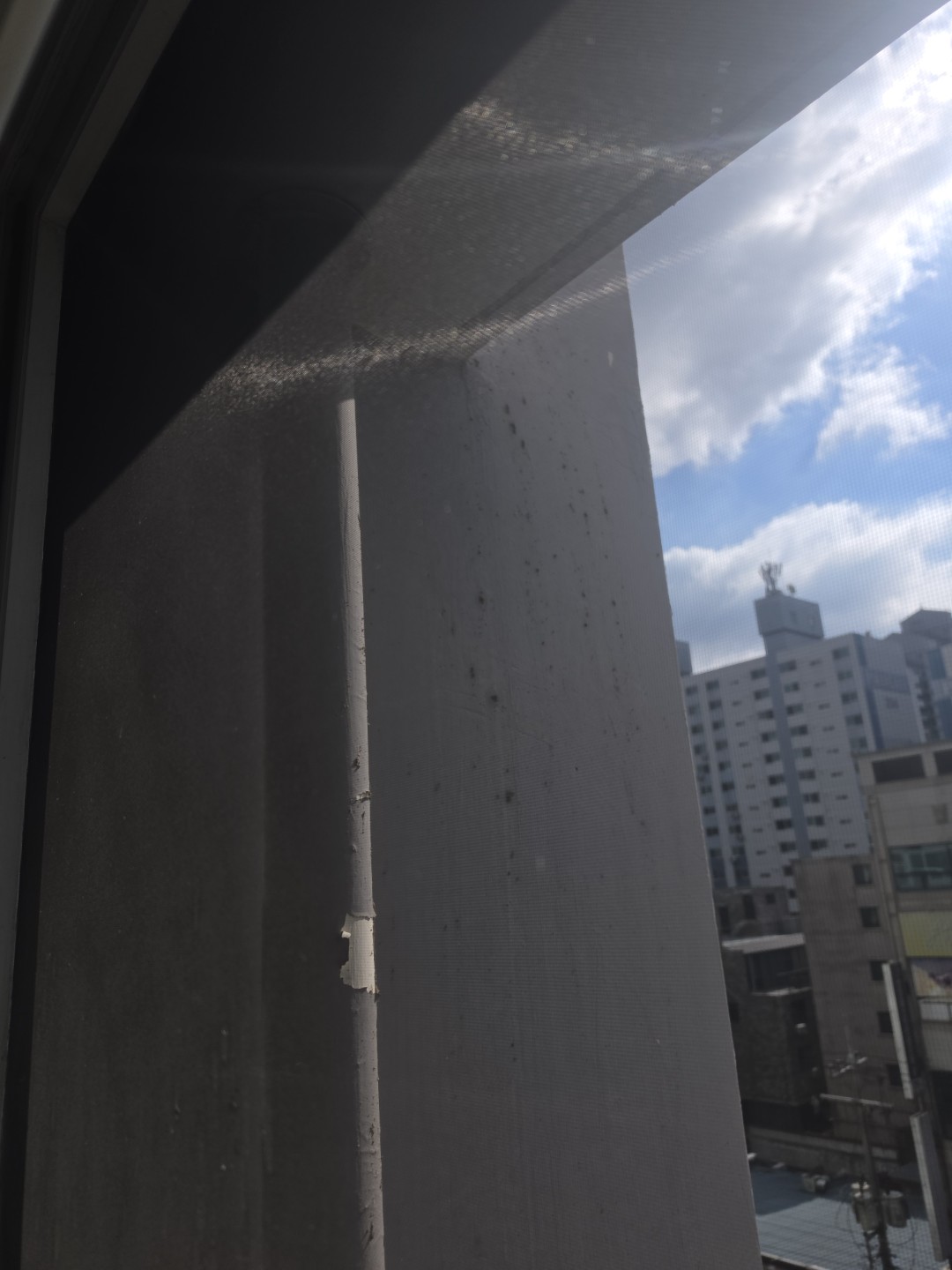 Post image 5