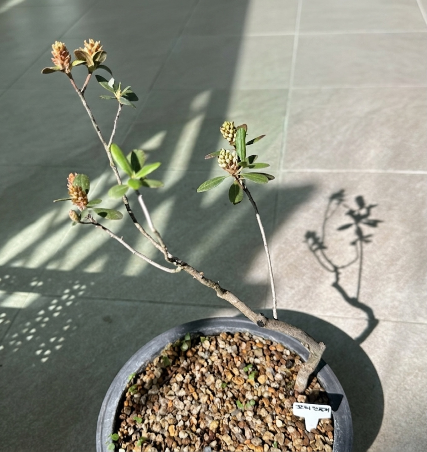 Post image 3