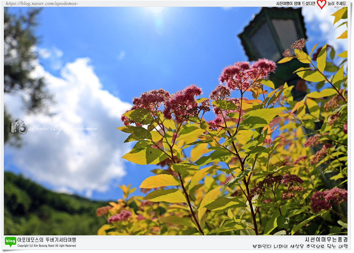 Post image 26