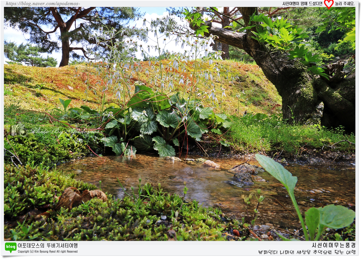 Post image 27