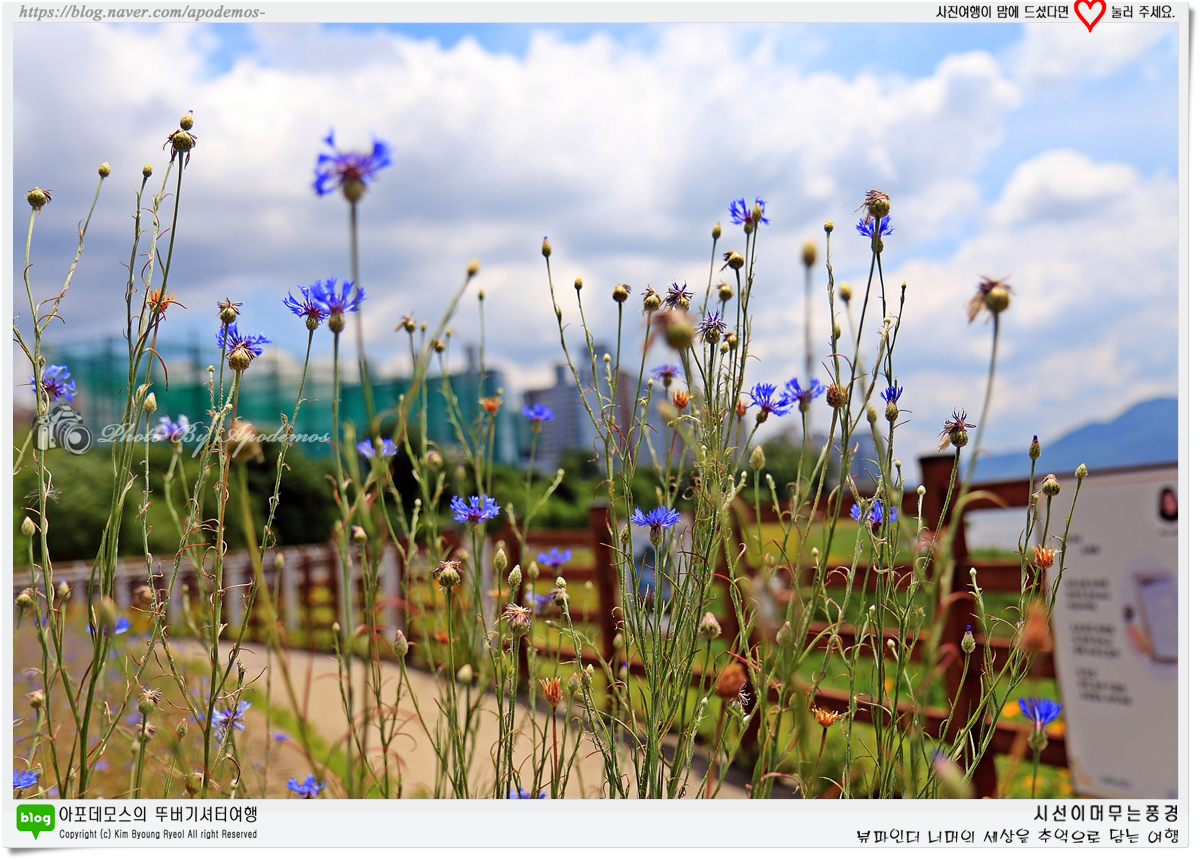 Post image 26