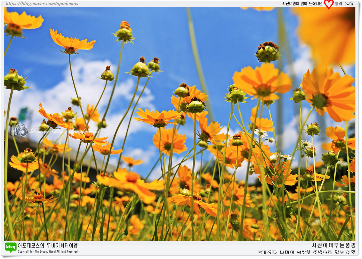 Post image 28