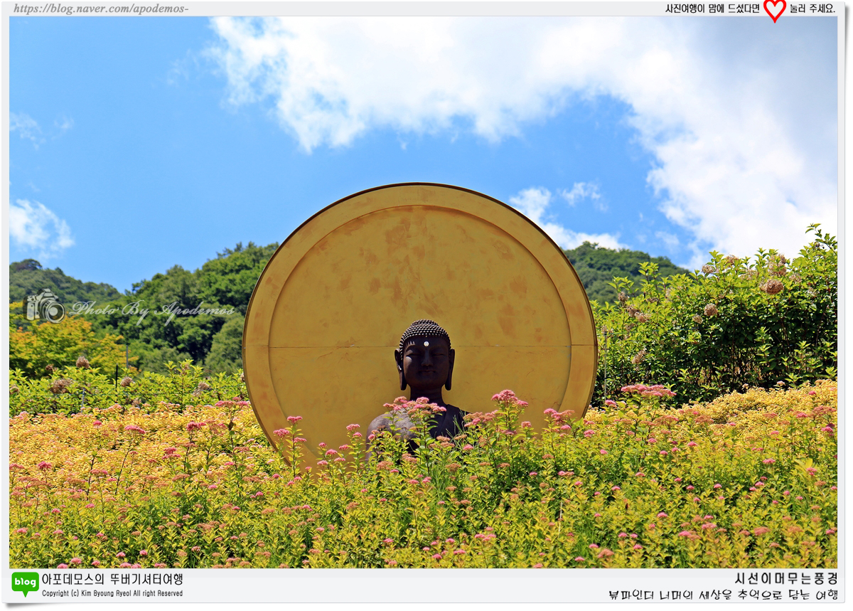 Post image 17