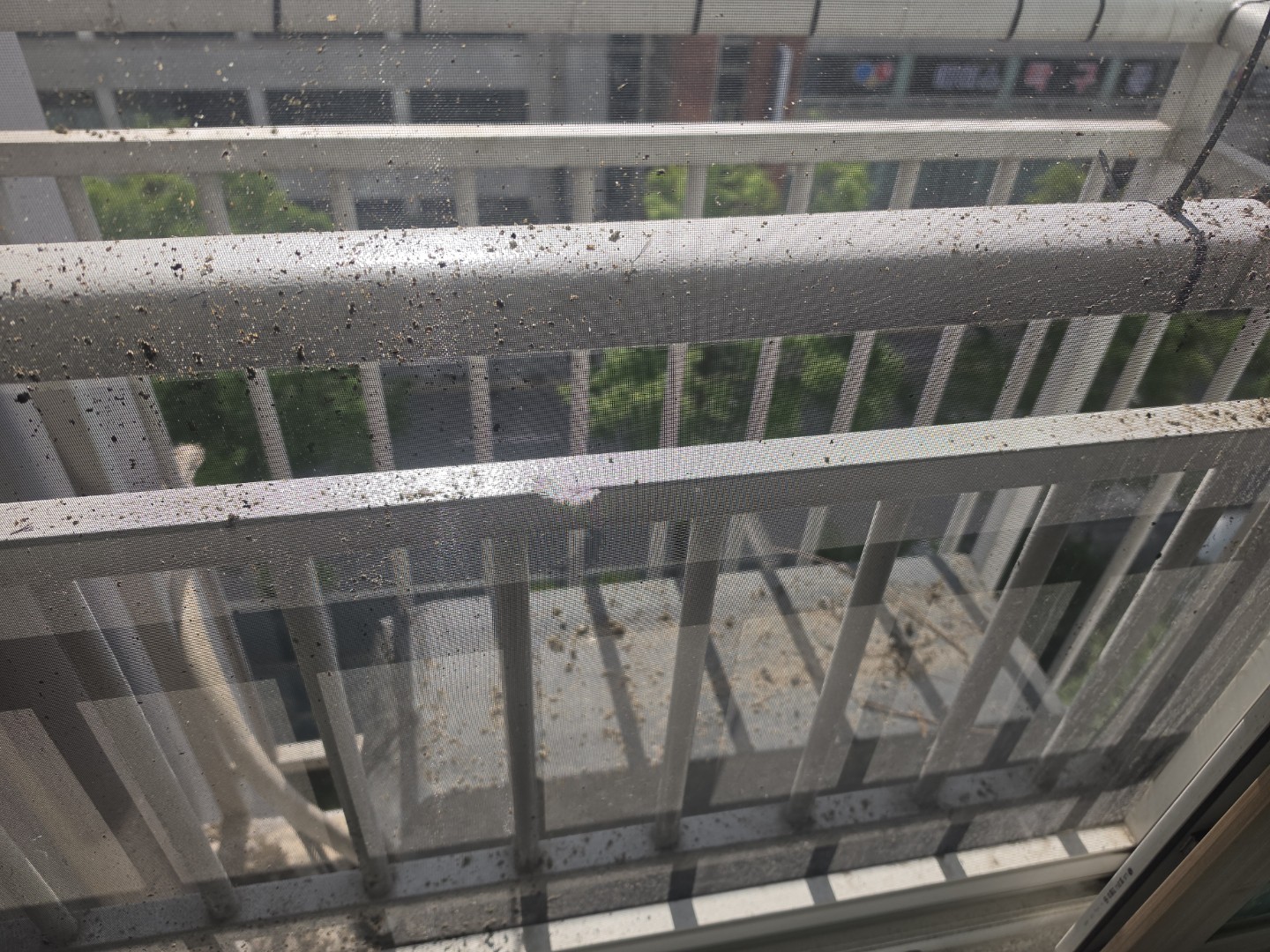 Post image 3