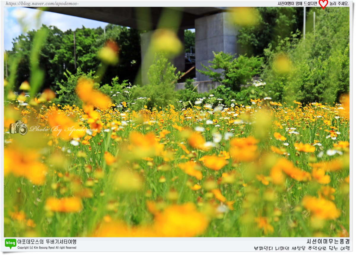 Post image 27