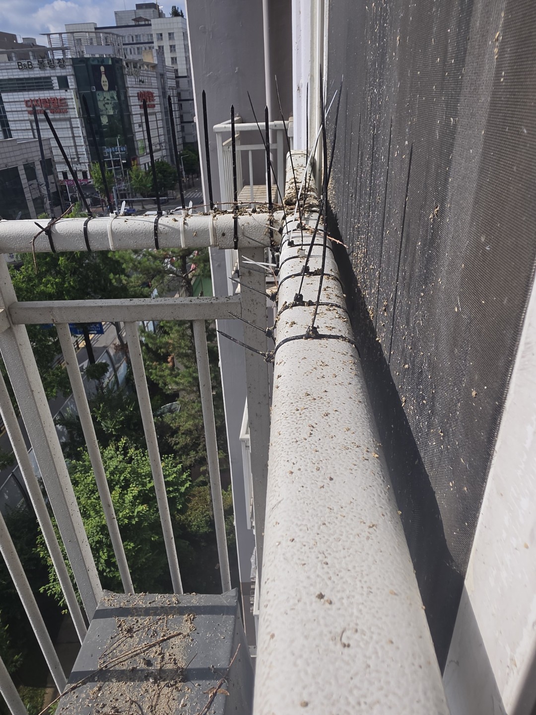 Post image 6