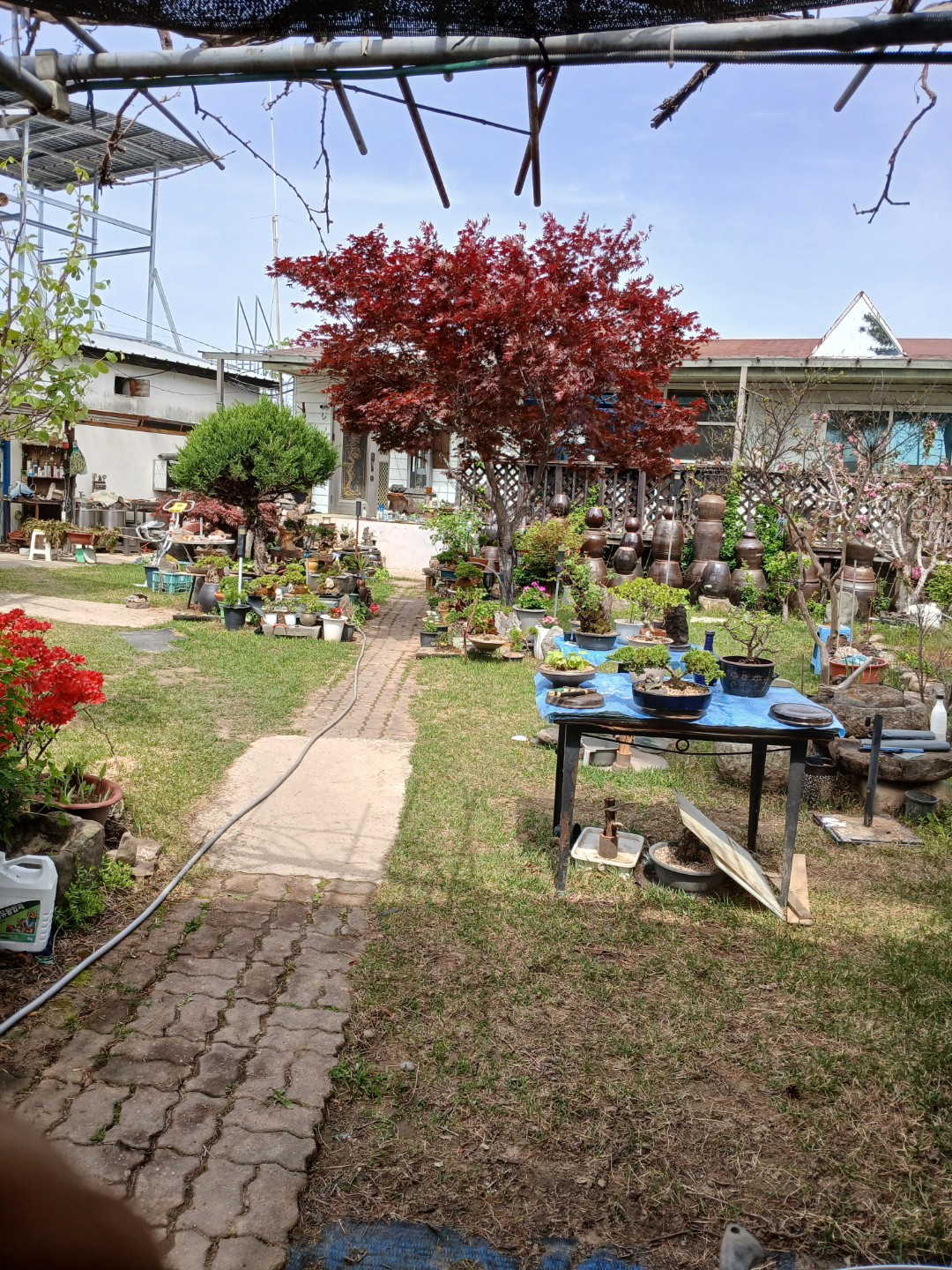 Post image 2