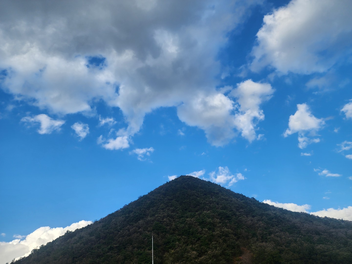 Post image 5