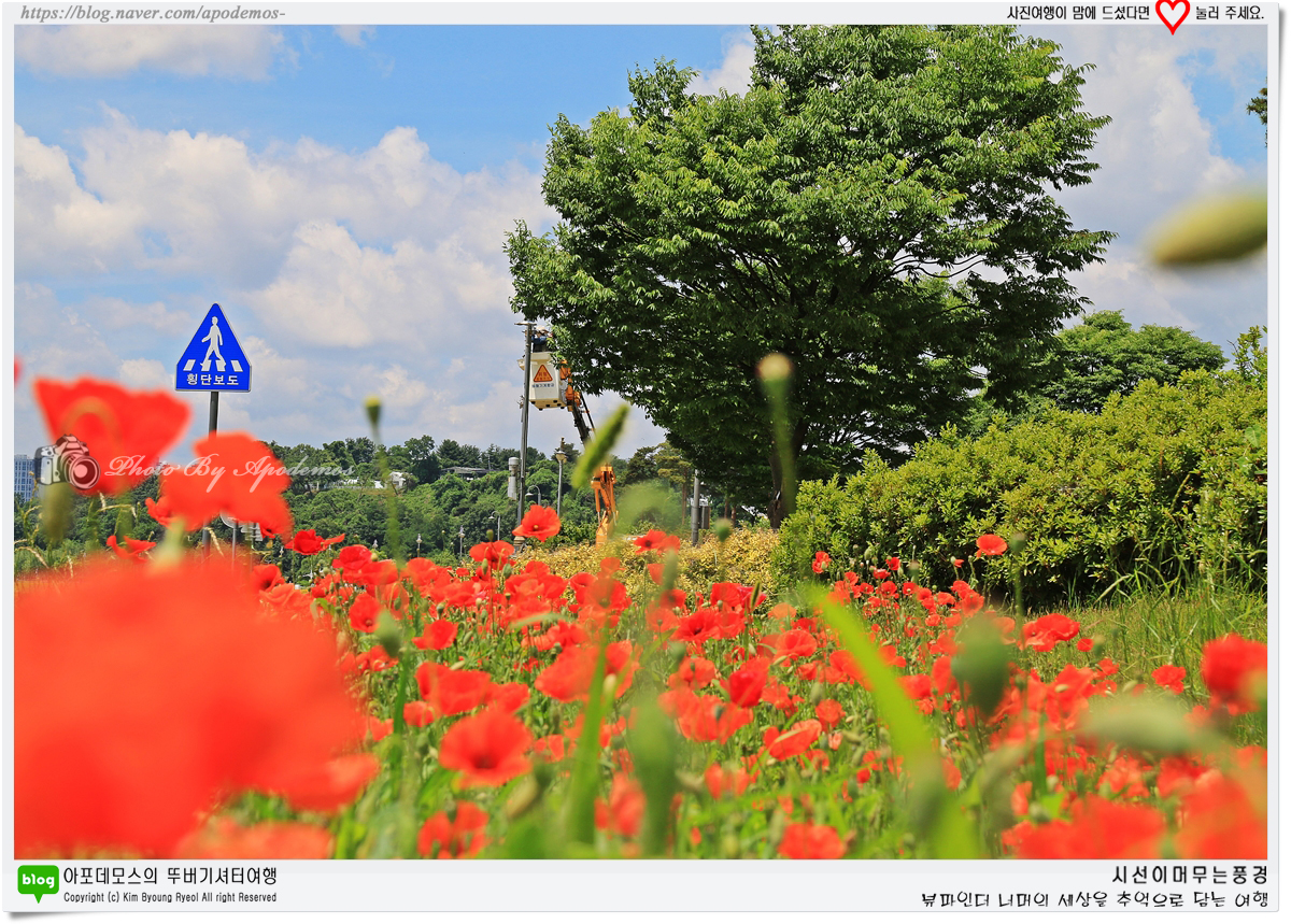 Post image 23