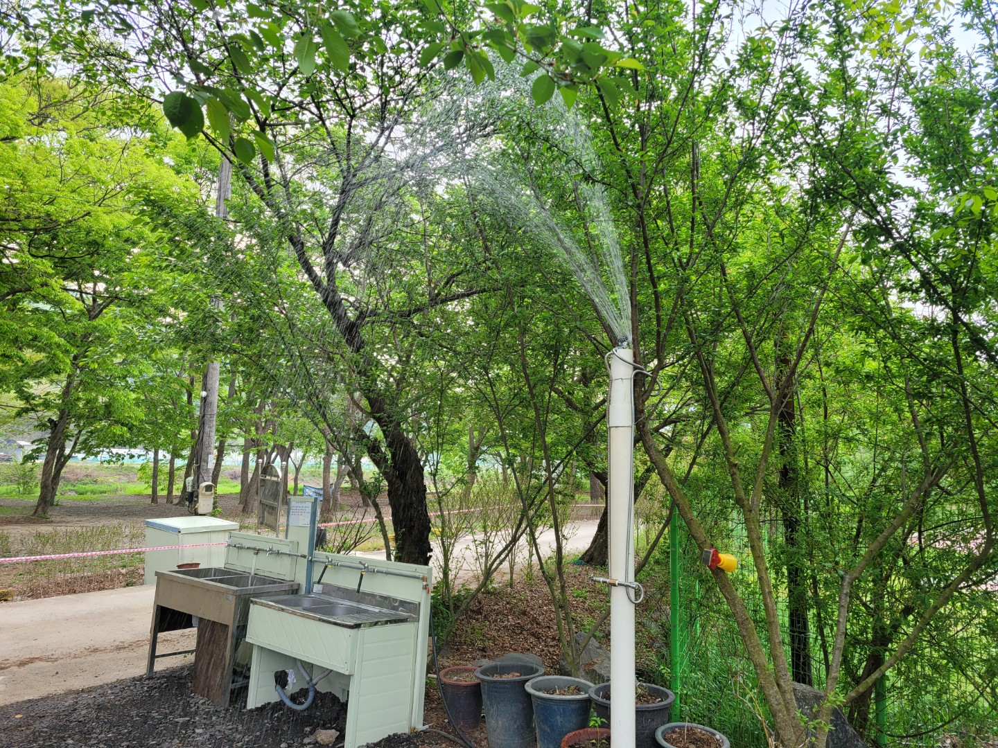 Post image 6