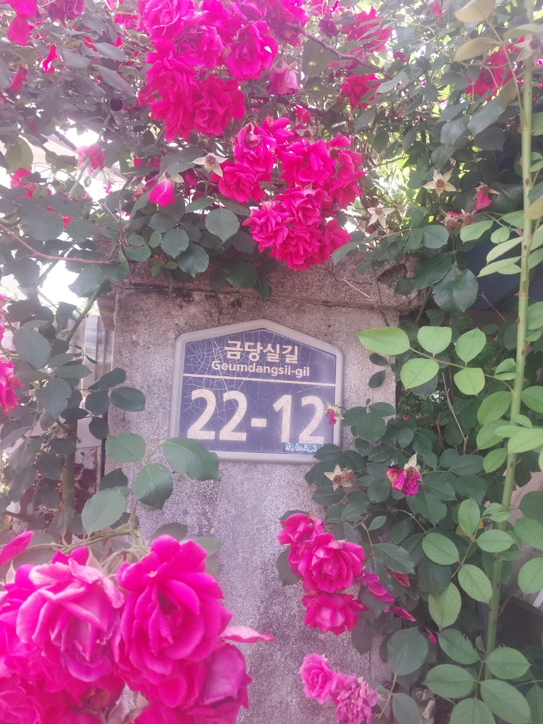 Post image 2