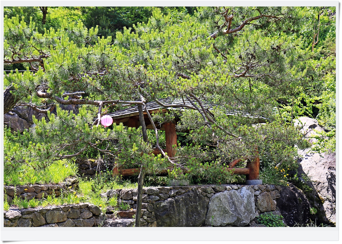 Post image 20