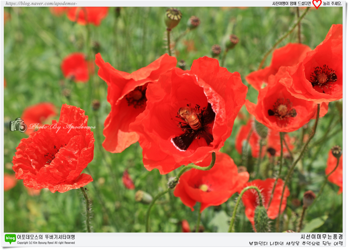 Post image 24