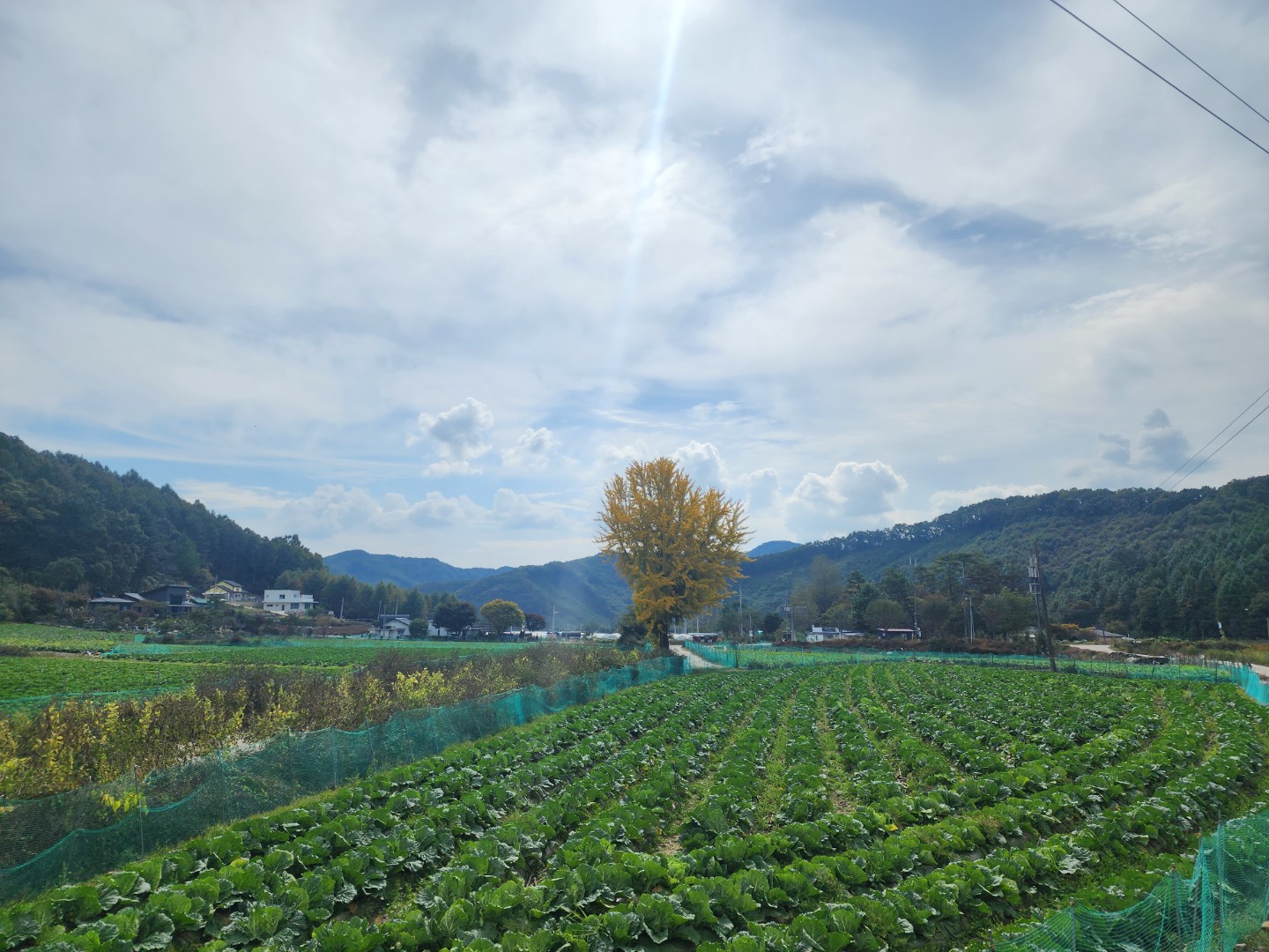 Post image 7