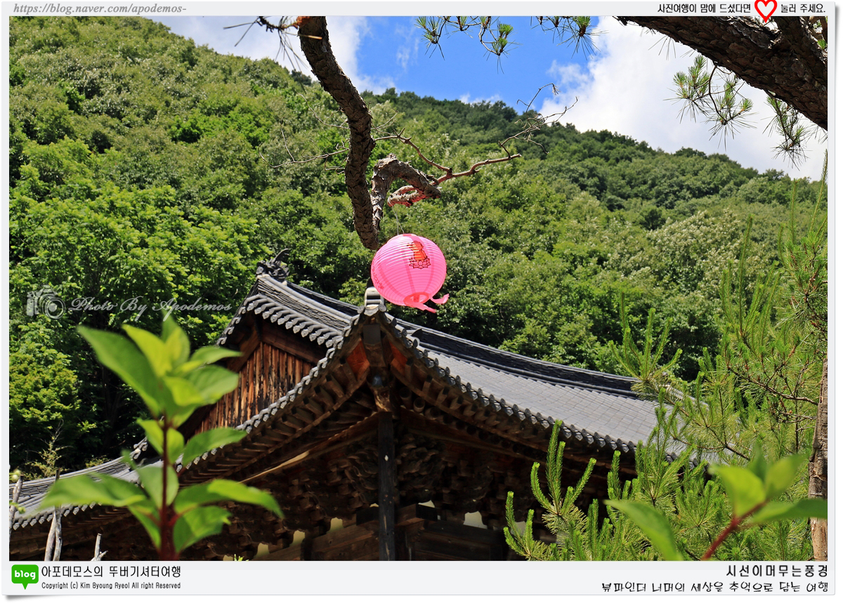 Post image 18