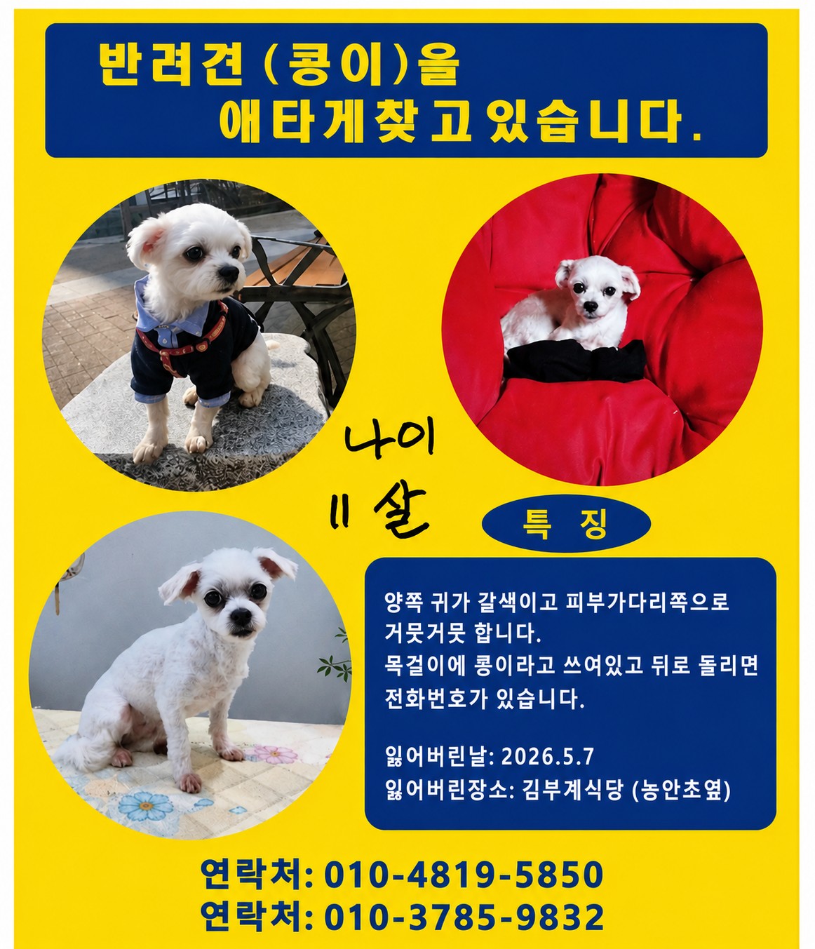 Post image 23