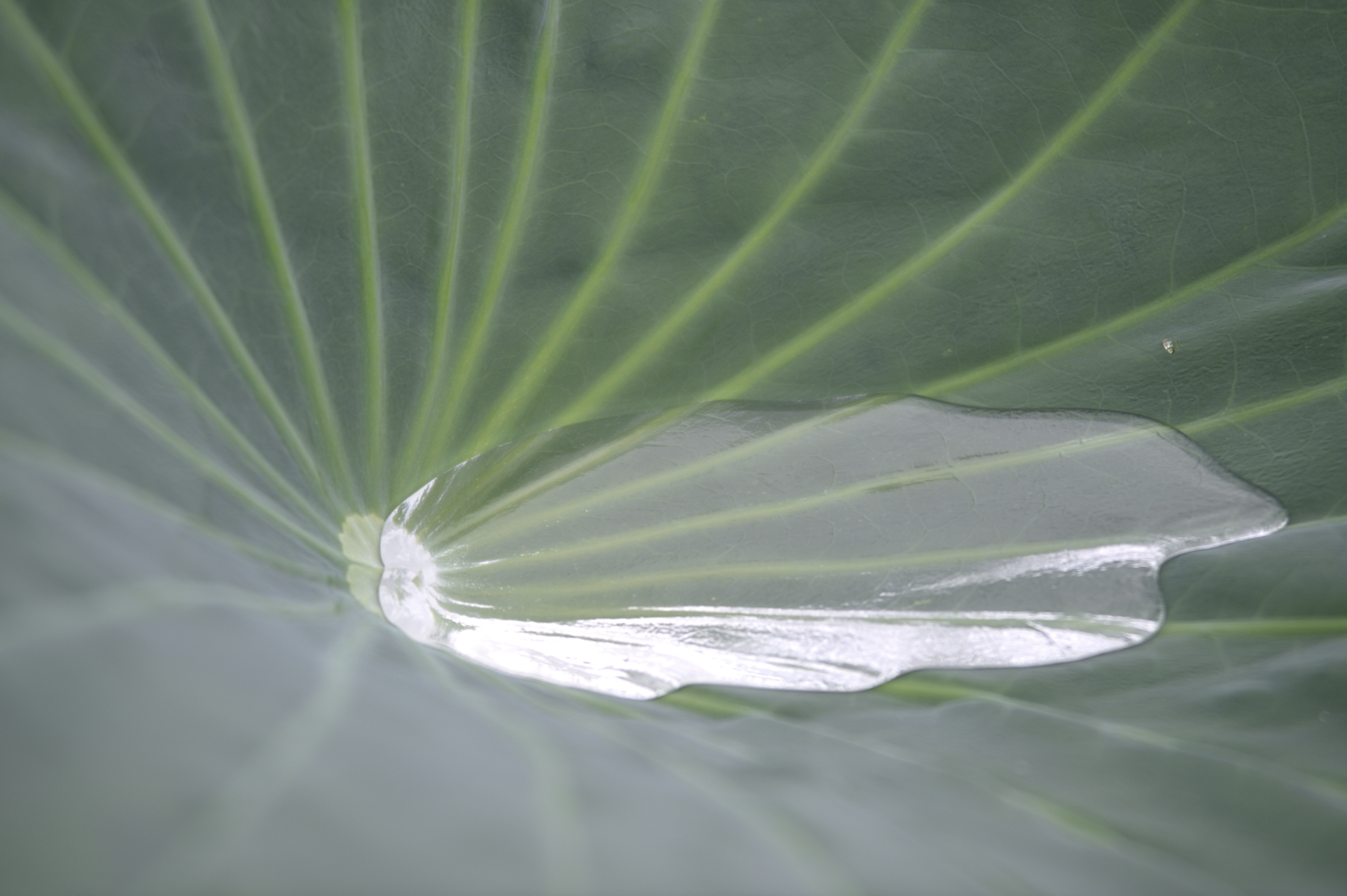 Post image 6