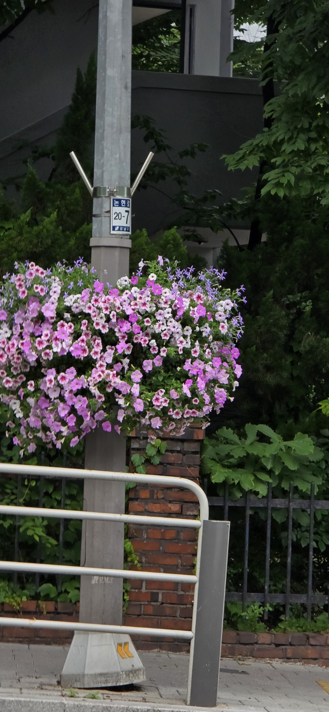 Post image 7