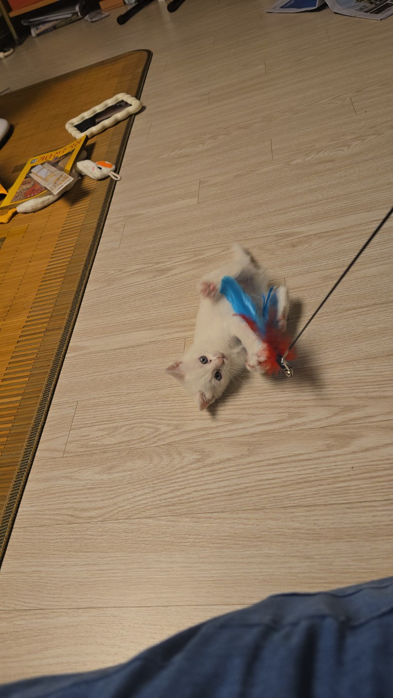 Post image 2