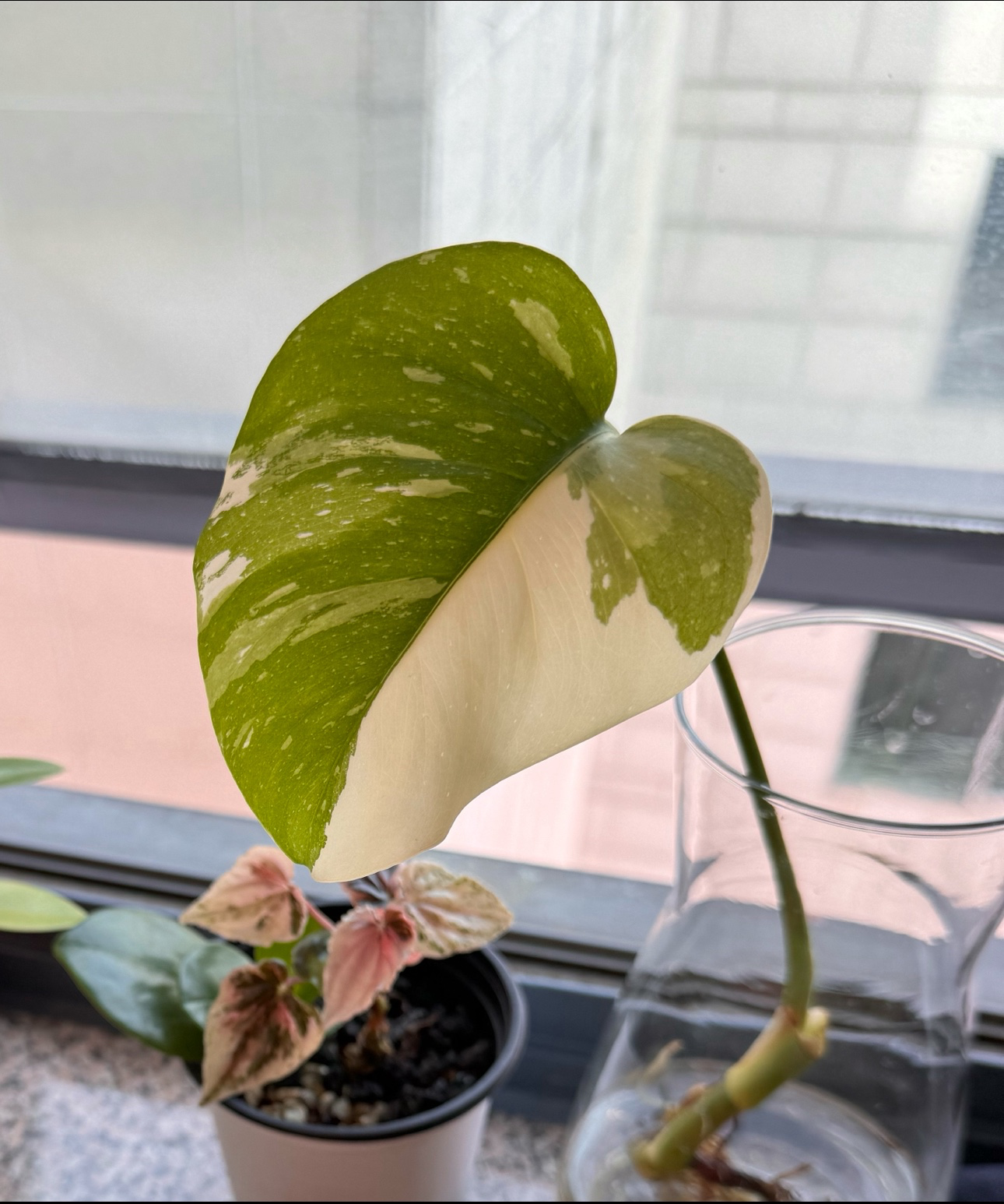 Post image 1