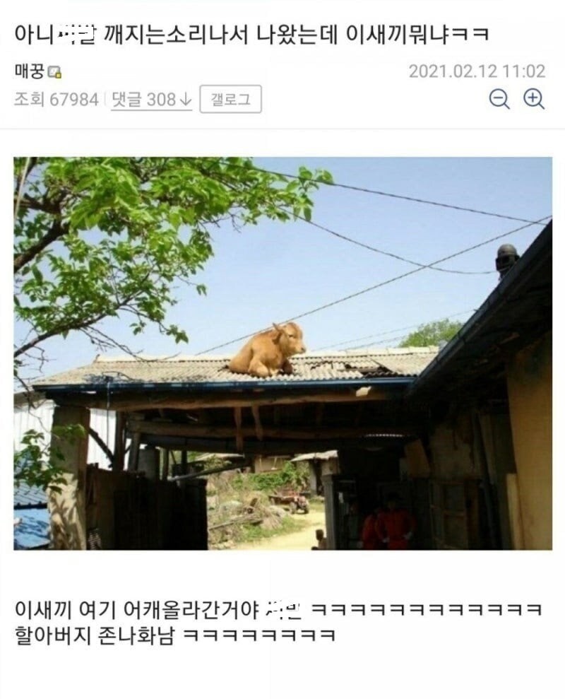 Post image 2