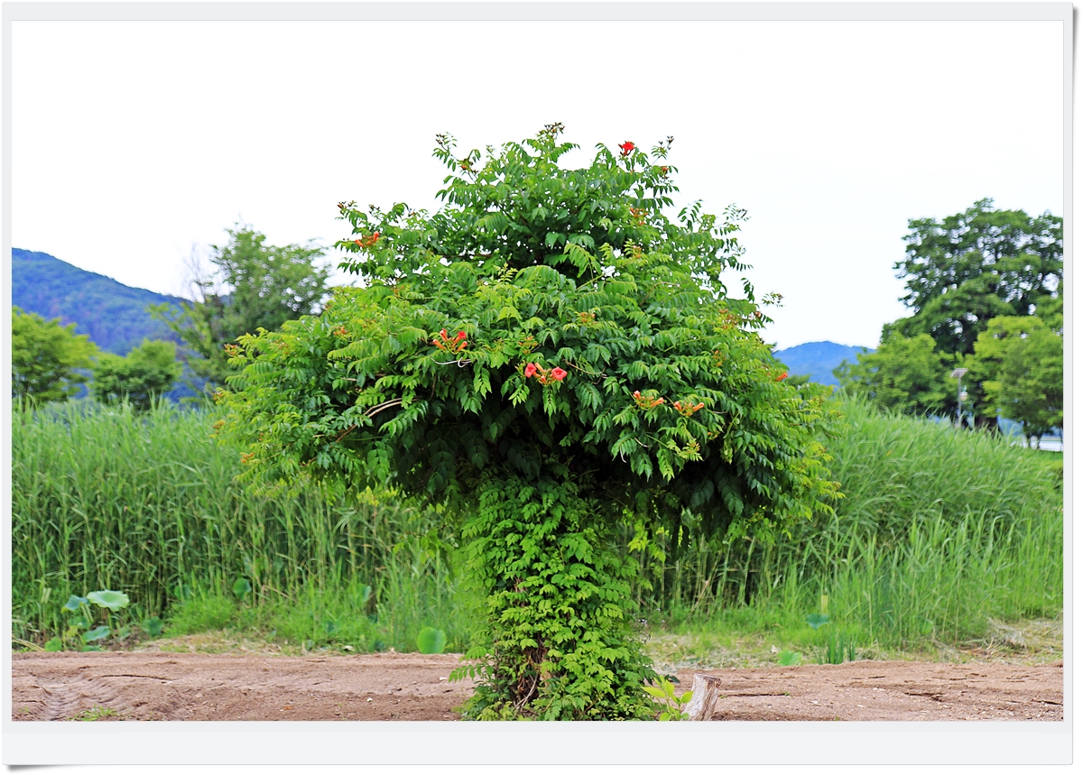 Post image 23